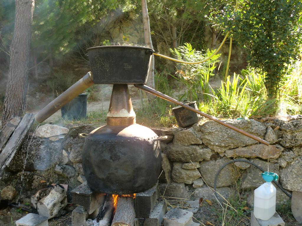 Quinta Do Circo - Serra Da Estrela - Turismo Rural Cortes do Meio المظهر الخارجي الصورة