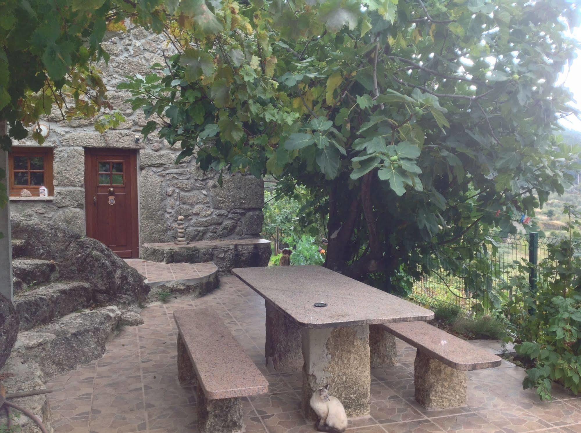 Quinta Do Circo - Serra Da Estrela - Turismo Rural Cortes do Meio المظهر الخارجي الصورة